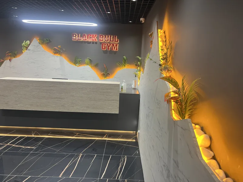 Black Bull Pro GYM — Спортзал в Аланье: Онлайн-заказ, цены и отзывы